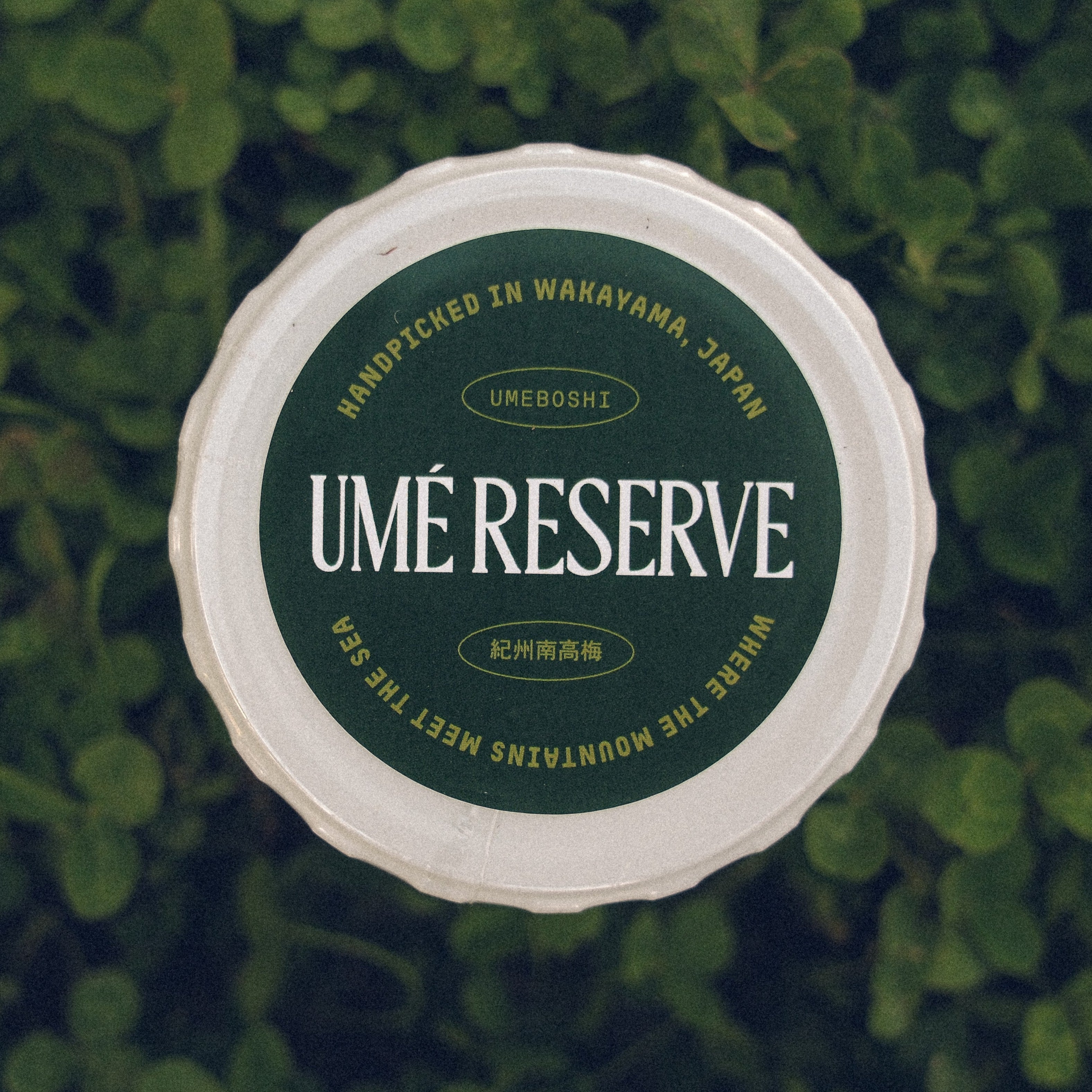 Heritage Flavor Pair - Signature Shiso & Delicate Salt (4.06oz | 115g each)