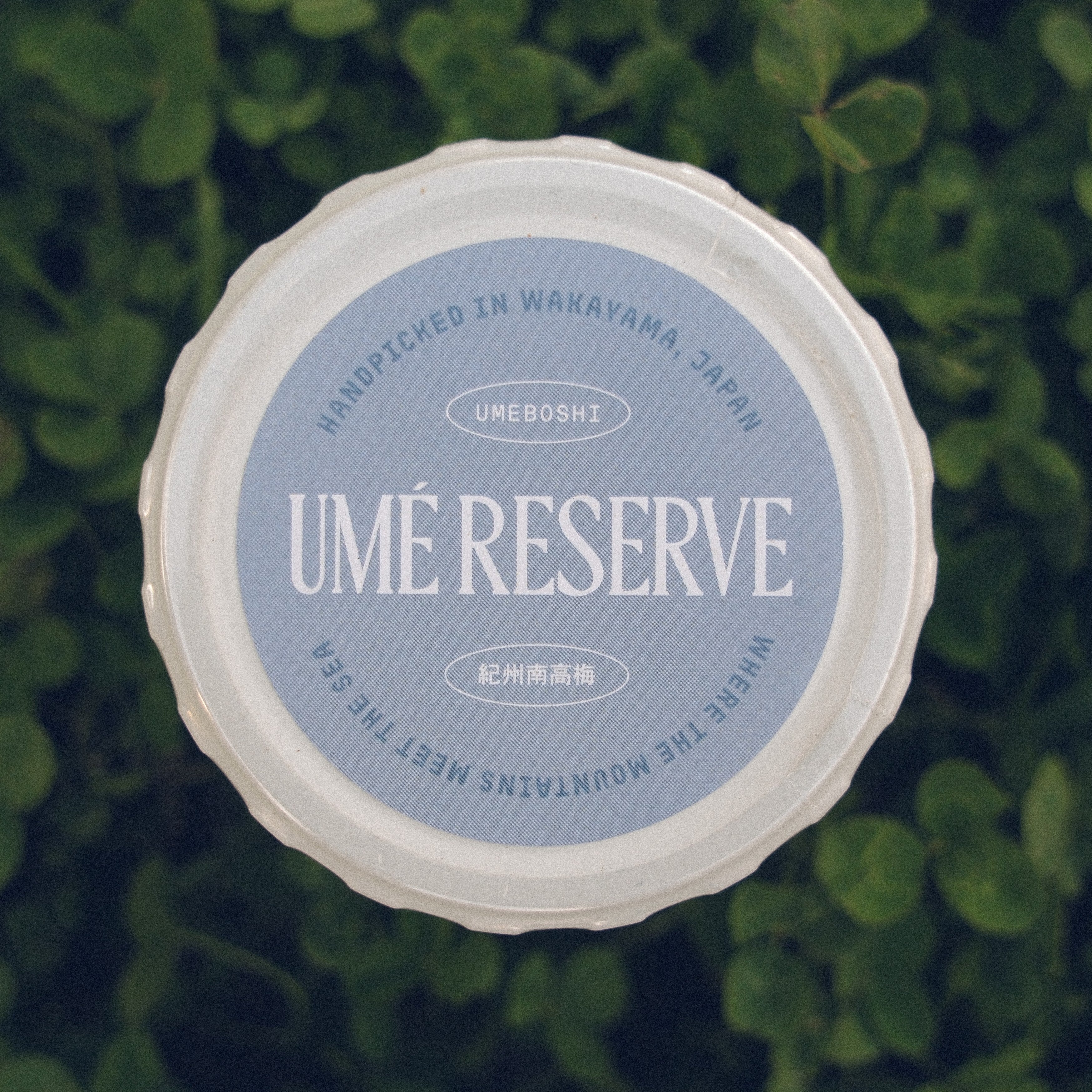 Pantry Essentials 2-Pack