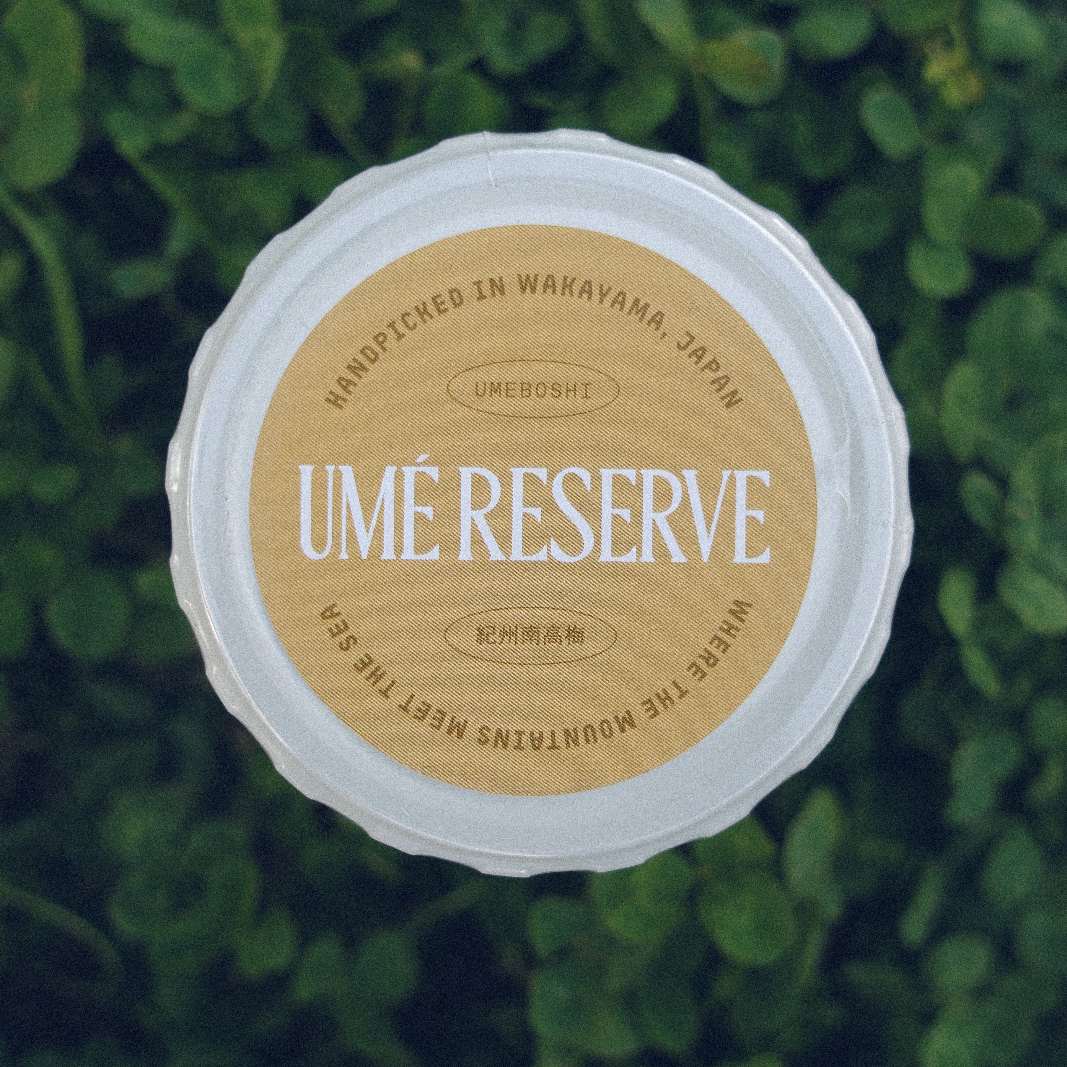 Complete Umeboshi Sampler Set (4.06oz | 115g each) – The Umé Reserve