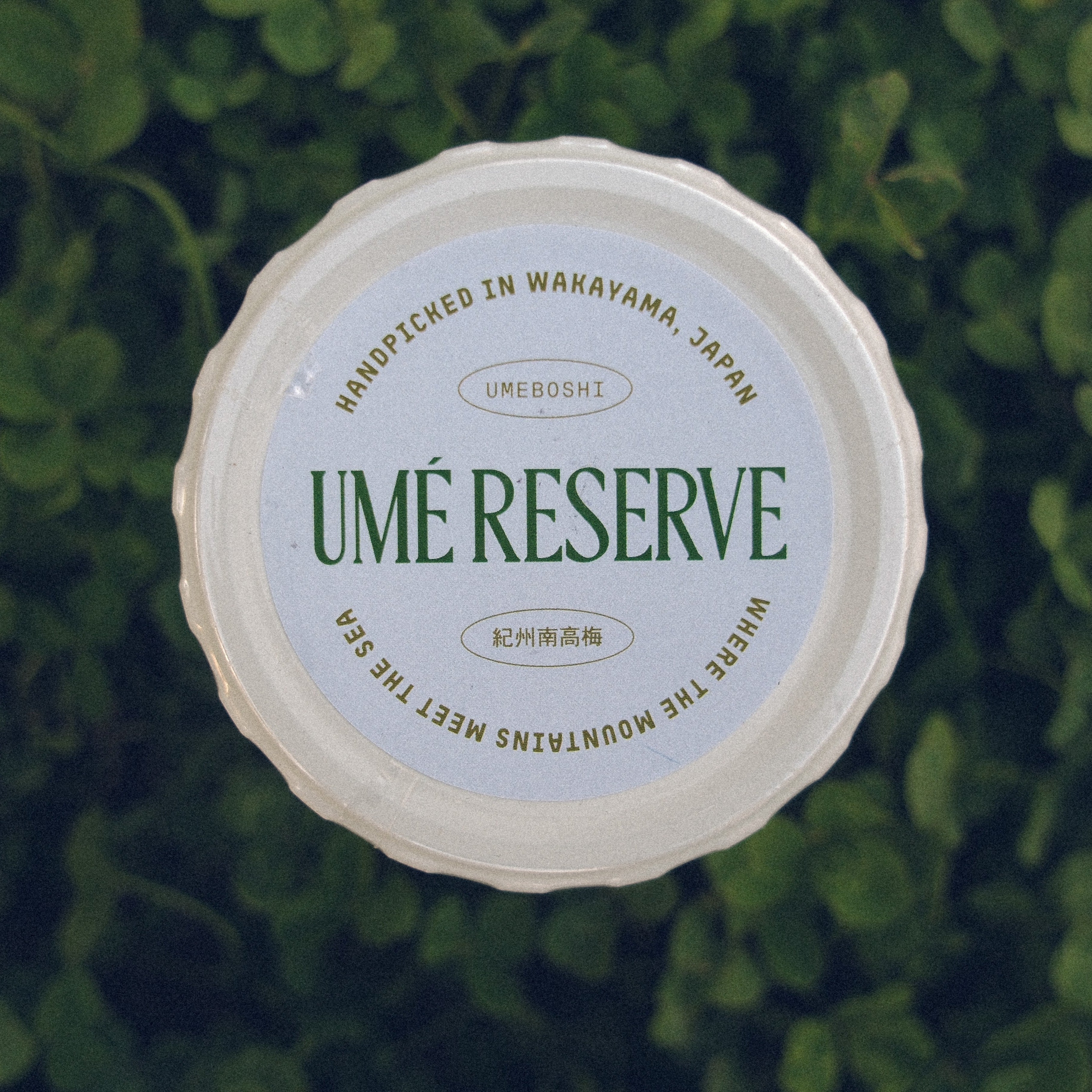 Heritage Flavor Pair - Signature Shiso & Delicate Salt (4.06oz | 115g each)