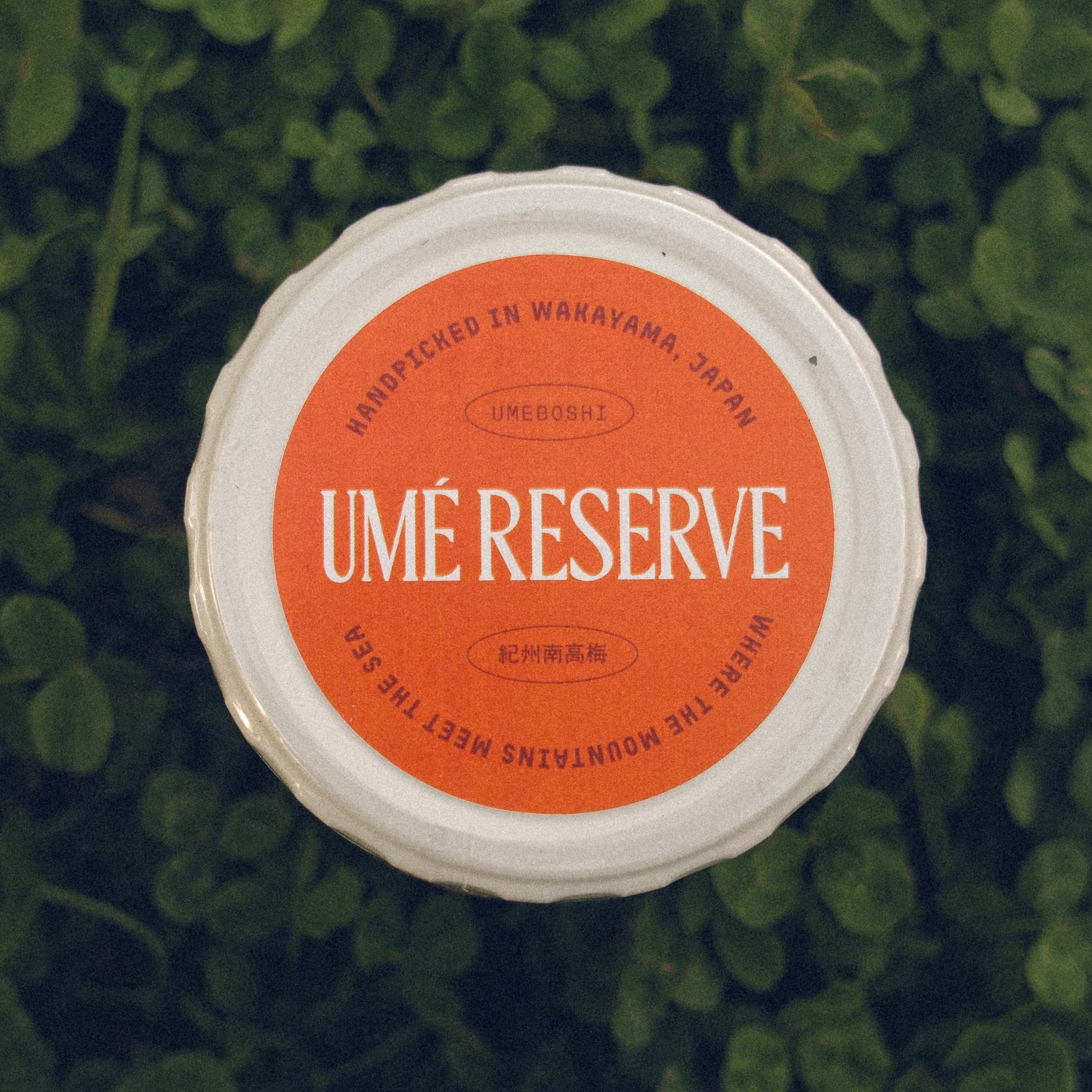 Light & Bright Discovery Duo - Delicate Salt & Select Citrus Umeboshi (4.06 | 115g each)